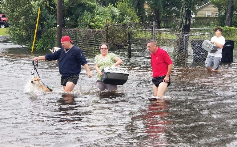 Shelter from the Storm: Ian through Hada’s eyes in the Naples Corps